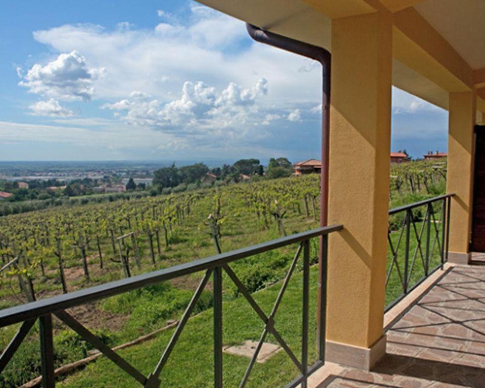 La Vista Agriturismo Boutique Ariccia Exterior photo